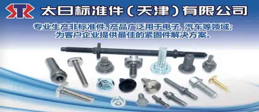 太日标准件(天津)有限公司