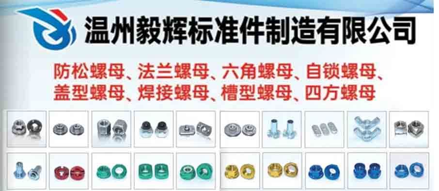 温州毅辉标准件制造有限公司