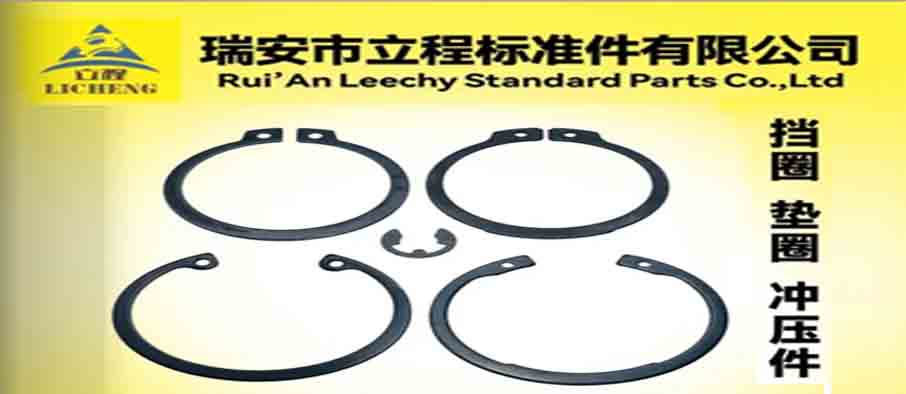 瑞安市立程标准件有限公司