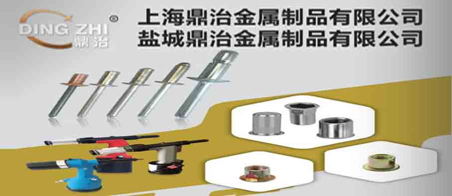 上海鼎治金属制品有限公司