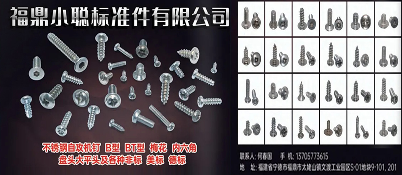 福鼎小聪标准件有限公司