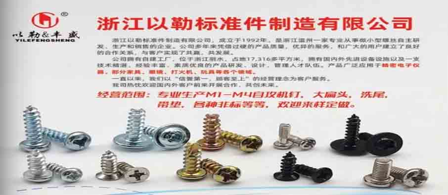 浙江以勒标准件制造有限限公司