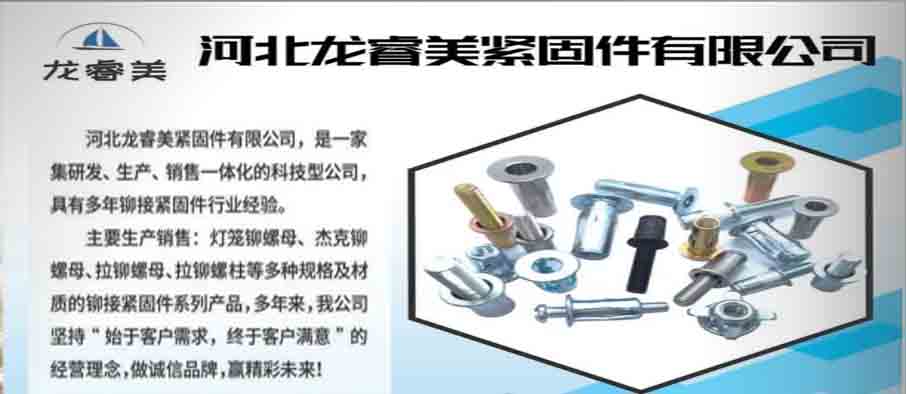 河北龙睿美紧固件有限公司