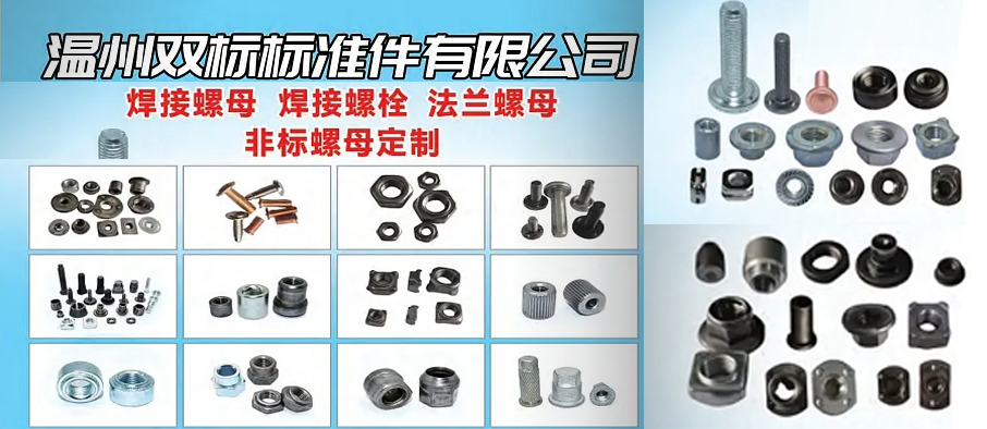 温州双标标准件有限公司
