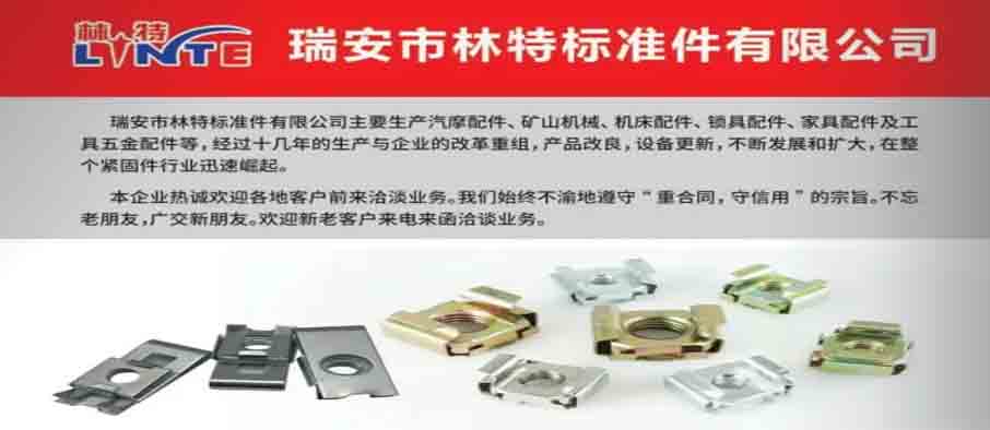 瑞安市林特标准件有限公司 