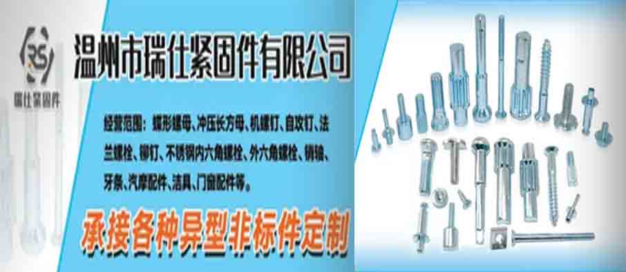 温州市瑞仕紧固件有限公司