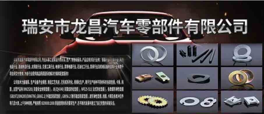 瑞安市龙昌汽车零部件有限公司