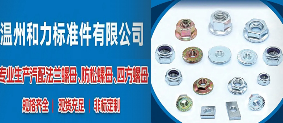 温州和力标准件有限公司
