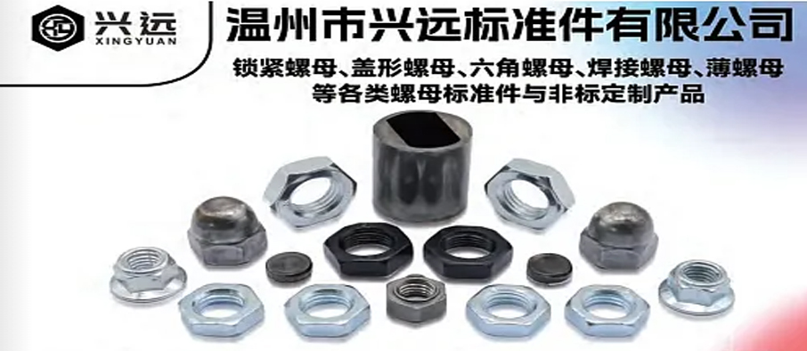 温州市兴远标准件有限公司