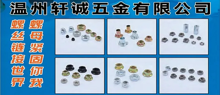 温州轩诚五金有限公司