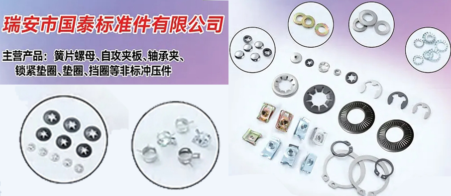 瑞安市国泰标准件有限公司