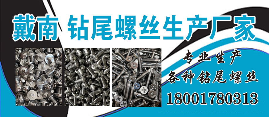 戴南 钻尾螺丝生产厂家