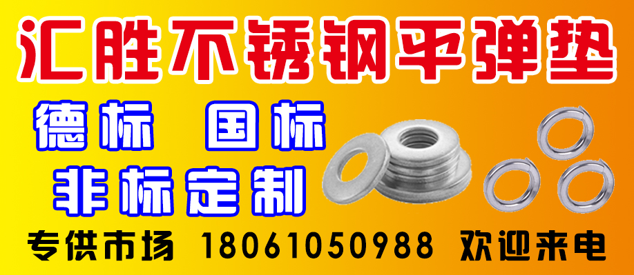 汇胜不锈钢平弹垫