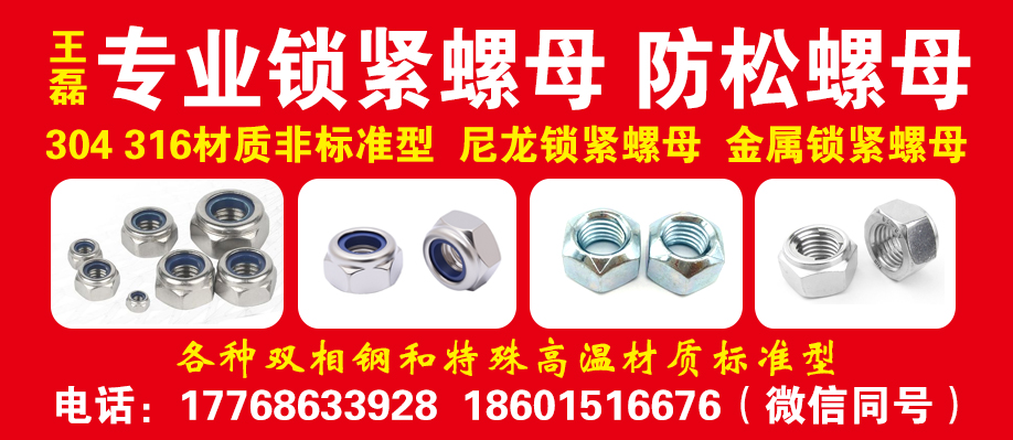 王磊专业锁紧螺母 防松螺母
